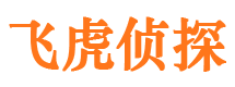 石首调查公司